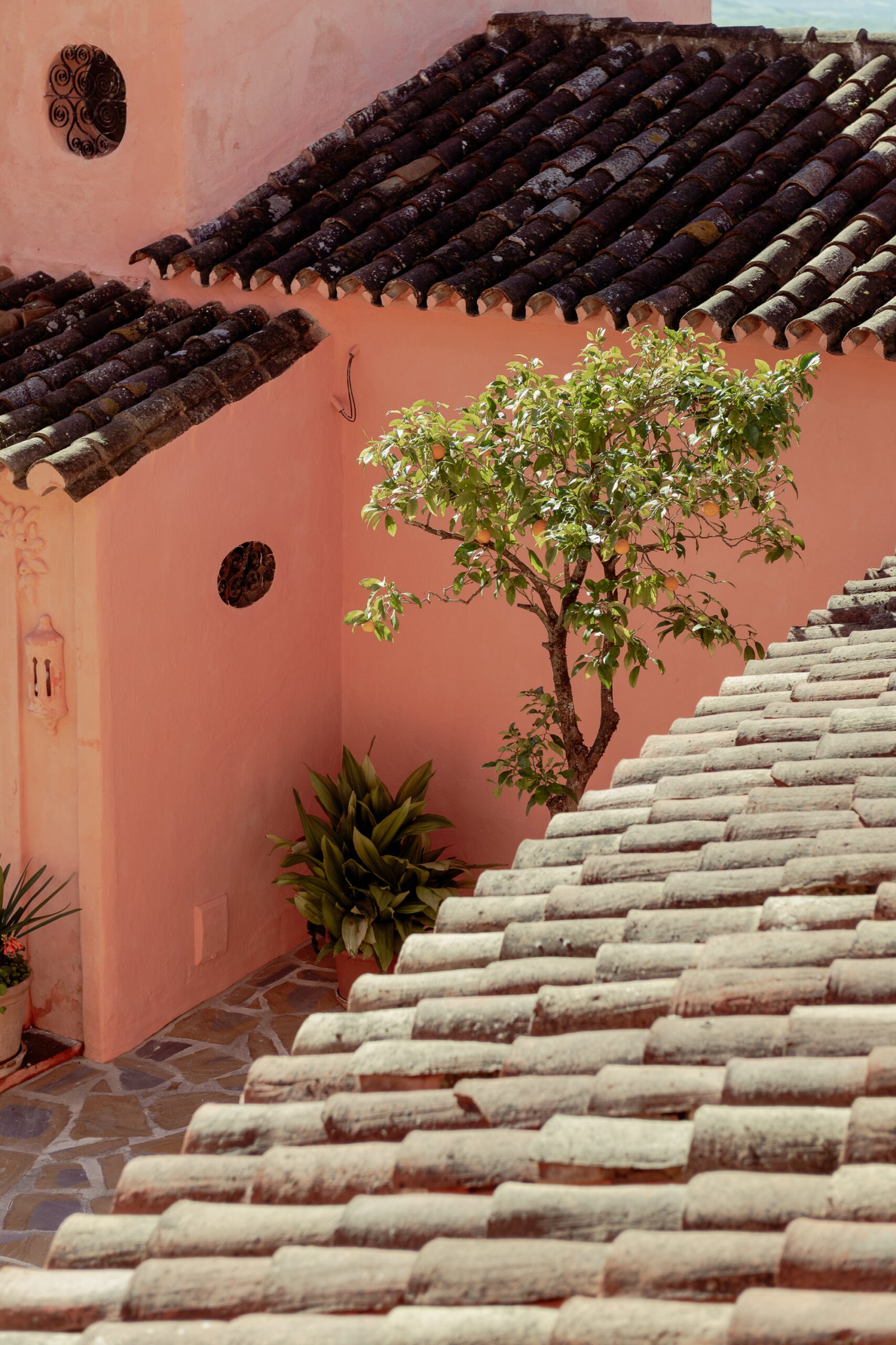 Cortijo patio